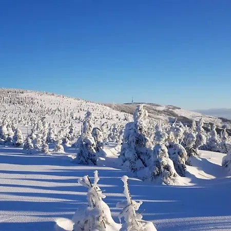 Agropensjonat Tramp Z Goralskim Spa Zabnica Exteriér fotografie